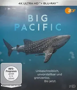 [Big Pacific]海报